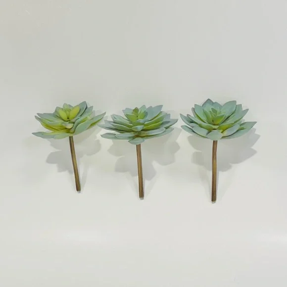 Faux Succulents (3x) - Picture 3 of 9